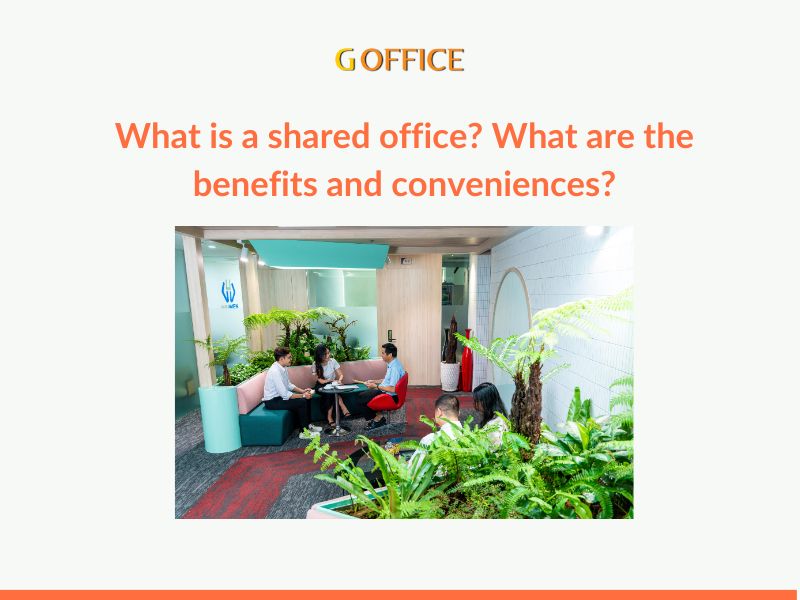 What is a shared office? What are the benefits and conveniences?